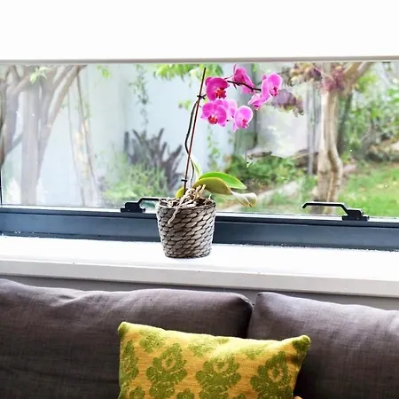 Pompeu Art Nouveau * Aveiro