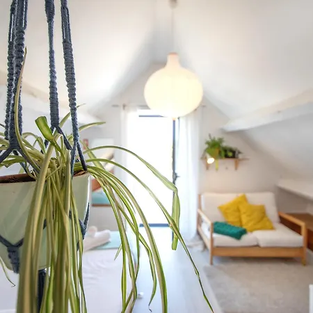 Pompeu Art Nouveau Appartamento Aveiro